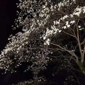 Meet your Posher, Ruth